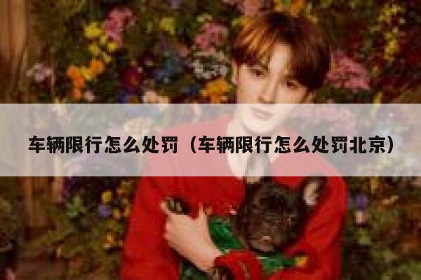 车辆限行怎么处罚（车辆限行怎么处罚北京） 第1张