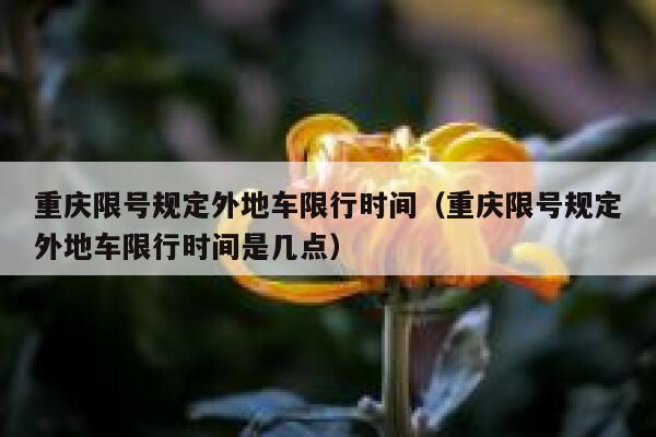 重庆限号规定外地车限行时间（重庆限号规定外地车限行时间是几点） 第1张