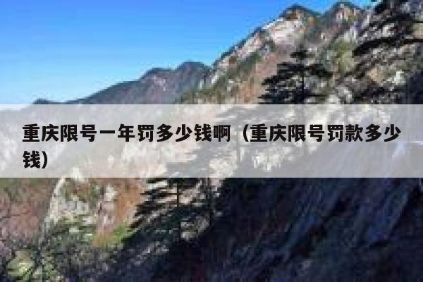 重庆限号一年罚多少钱啊(重庆限号罚款多少钱) 第1张 重庆限号一年罚多少钱啊(重庆限号罚款多少钱) 第1张