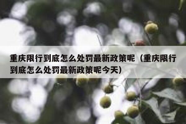 重庆限行到底怎么处罚最新政策呢（重庆限行到底怎么处罚最新政策呢今天） 第1张