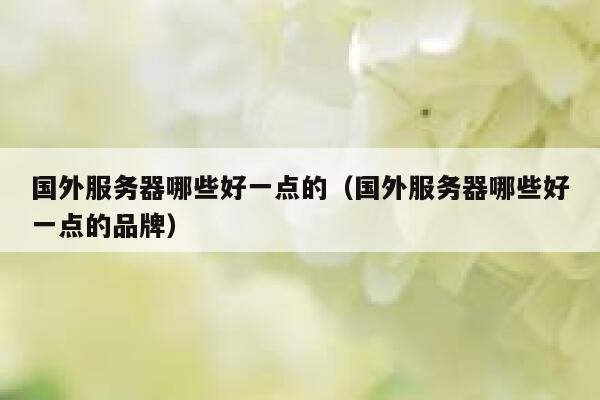 国外服务器哪些好一点的（国外服务器哪些好一点的品牌） 第1张