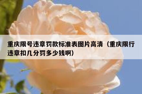 重庆限号违章罚款标准表图片高清（重庆限行违章扣几分罚多少钱啊） 第1张