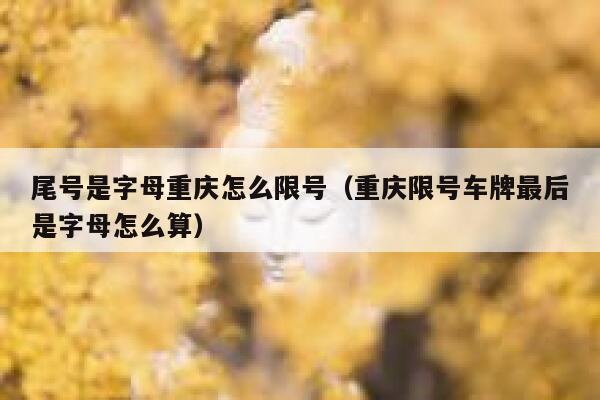 尾号是字母重庆怎么限号（重庆限号车牌最后是字母怎么算） 第1张