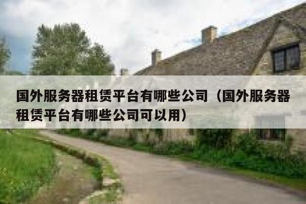 国外服务器租赁平台有哪些公司（国外服务器租赁平台有哪些公司可以用） 第1张