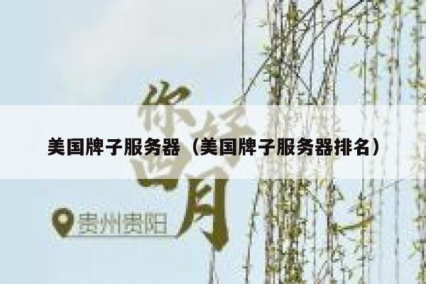 美国牌子服务器(美国牌子服务器排名) 第1张 美国牌子服务器(美国牌子服务器排名) 第1张