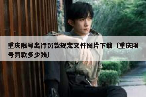 重庆限号出行罚款规定文件图片下载（重庆限号罚款多少钱） 第1张