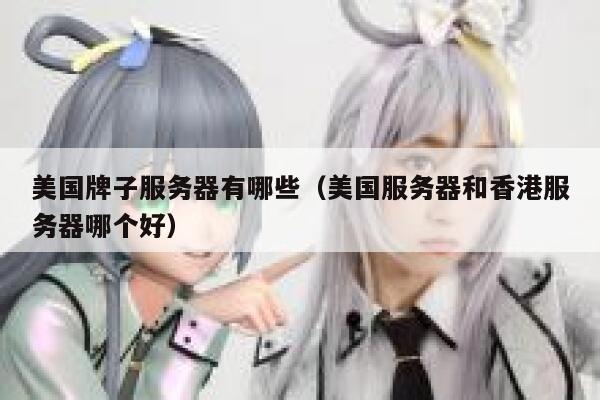 美国牌子服务器有哪些（美国服务器和香港服务器哪个好） 第1张