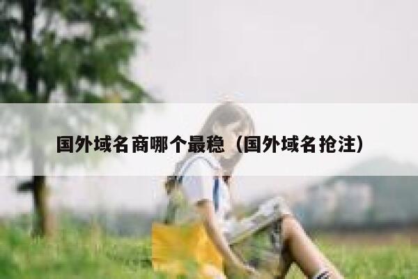 国外域名商哪个最稳（国外域名抢注） 第1张