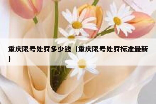 重庆限号处罚多少钱(重庆限号处罚标准最新) 第1张 重庆限号处罚多少钱(重庆限号处罚标准最新) 第1张