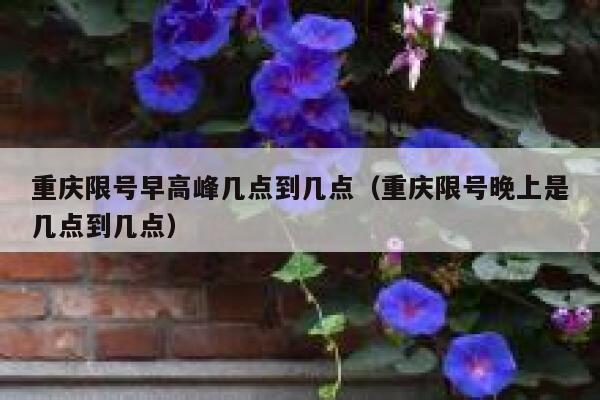 重庆限号早高峰几点到几点(重庆限号晚上是几点到几点) 第1张 重庆限号早高峰几点到几点(重庆限号晚上是几点到几点) 第1张