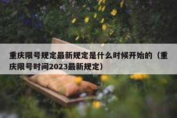 重庆限号规定最新规定是什么时候开始的(重庆限号时间2023最新规定) 第1张 重庆限号规定最新规定是什么时候开始的(重庆限号时间2023最新规定) 第1张