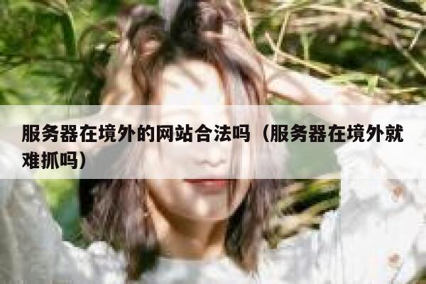 服务器在境外的网站合法吗（服务器在境外就难抓吗） 第1张