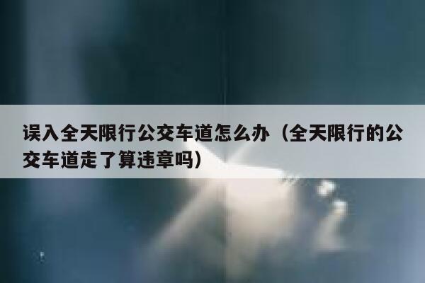 误入全天限行公交车道怎么办（全天限行的公交车道走了算违章吗） 第1张
