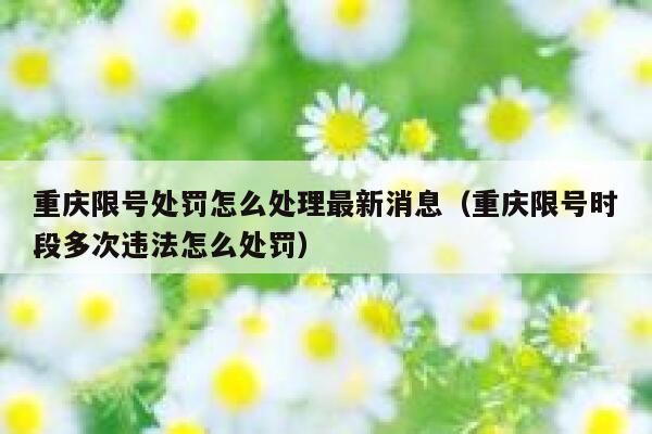 重庆限号处罚怎么处理最新消息（重庆限号时段多次违法怎么处罚） 第1张
