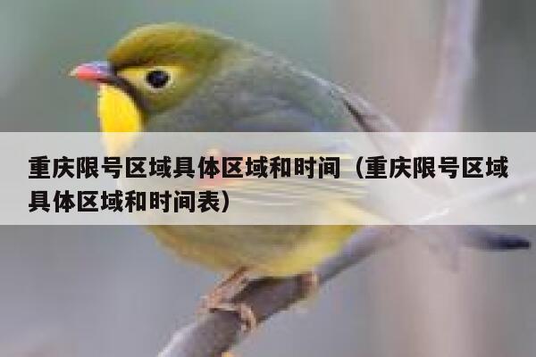 重庆限号区域具体区域和时间（重庆限号区域具体区域和时间表） 第1张