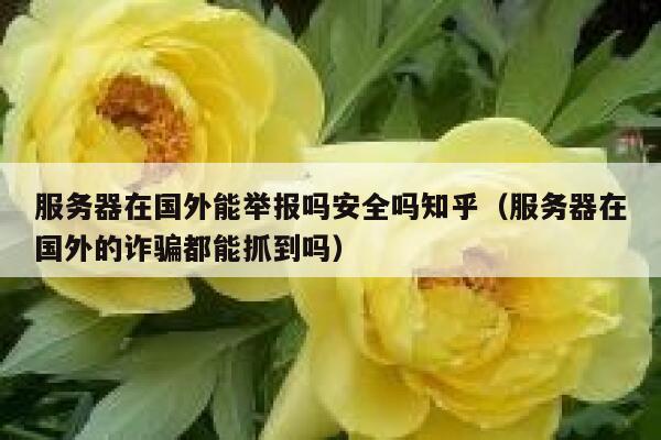 服务器在国外能举报吗安全吗知乎（服务器在国外的诈骗都能抓到吗） 第1张