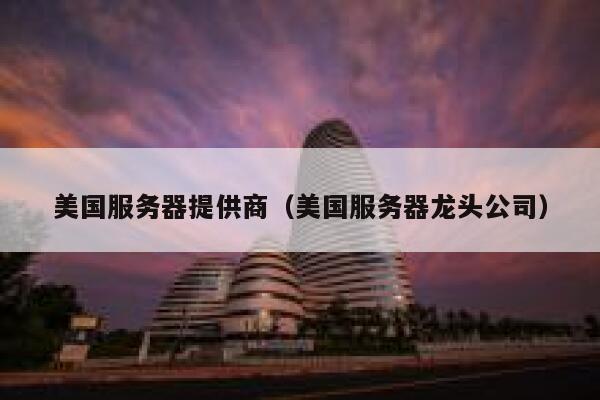 美国服务器提供商（美国服务器龙头公司） 第1张