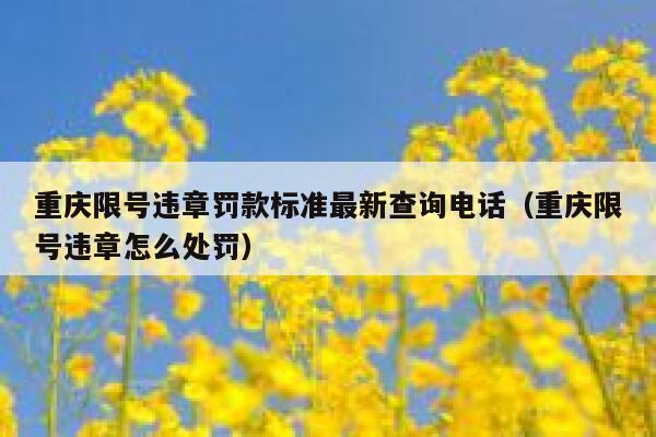重庆限号违章罚款标准最新查询电话（重庆限号违章怎么处罚） 第1张