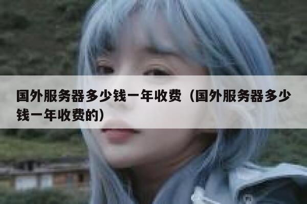 国外服务器多少钱一年收费（国外服务器多少钱一年收费的） 第1张