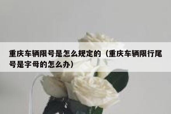 重庆车辆限号是怎么规定的(重庆车辆限行尾号是字母的怎么办) 第1张 重庆车辆限号是怎么规定的(重庆车辆限行尾号是字母的怎么办) 第1张