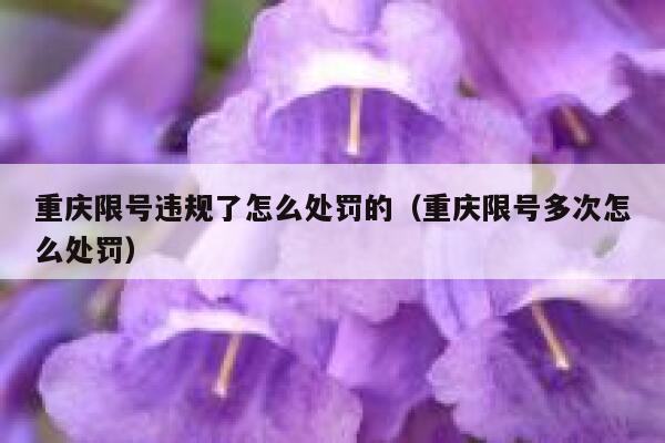 重庆限号违规了怎么处罚的（重庆限号多次怎么处罚） 第1张