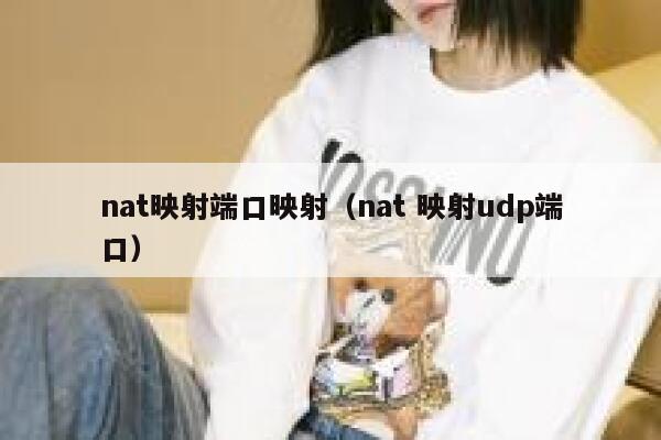 nat映射端口映射(nat 映射udp端口) 第1张 nat映射端口映射(nat 映射udp端口) 第1张