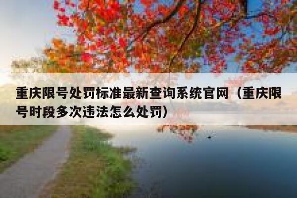 重庆限号处罚标准最新查询系统官网（重庆限号时段多次违法怎么处罚） 第1张