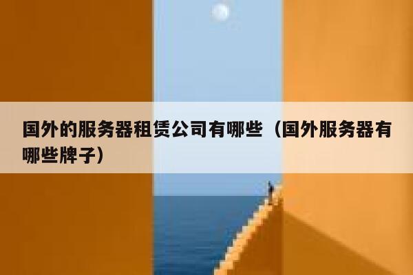 国外的服务器租赁公司有哪些（国外服务器有哪些牌子） 第1张