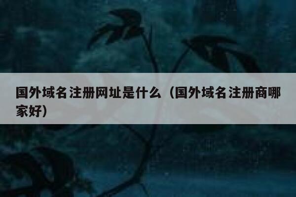 国外域名注册网址是什么（国外域名注册商哪家好） 第1张