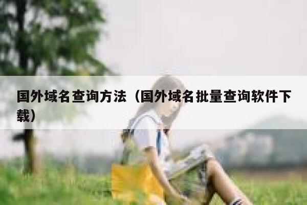 国外域名查询方法（国外域名批量查询软件下载） 第1张