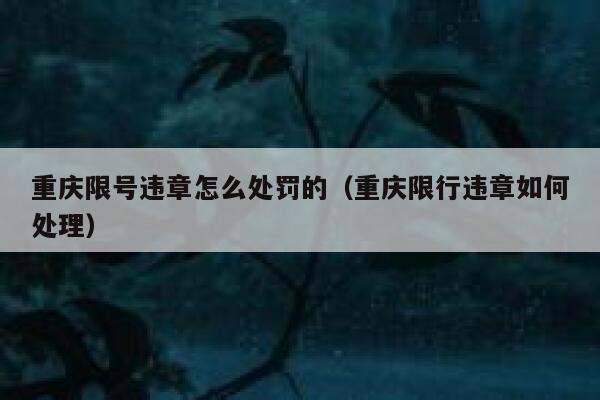 重庆限号违章怎么处罚的（重庆限行违章如何处理） 第1张
