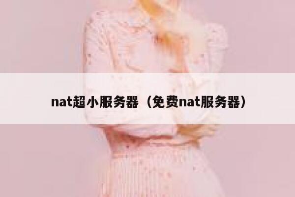 nat超小服务器（免费nat服务器） 第1张