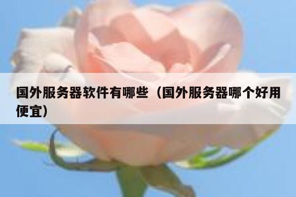国外服务器软件有哪些(国外服务器哪个好用便宜) 第1张 国外服务器软件有哪些(国外服务器哪个好用便宜) 第1张