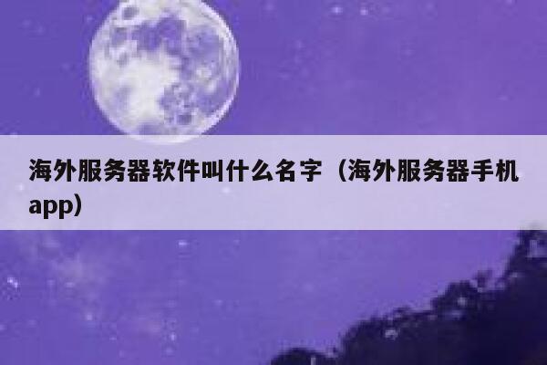 海外服务器软件叫什么名字(海外服务器手机app) 第1张 海外服务器软件叫什么名字(海外服务器手机app) 第1张