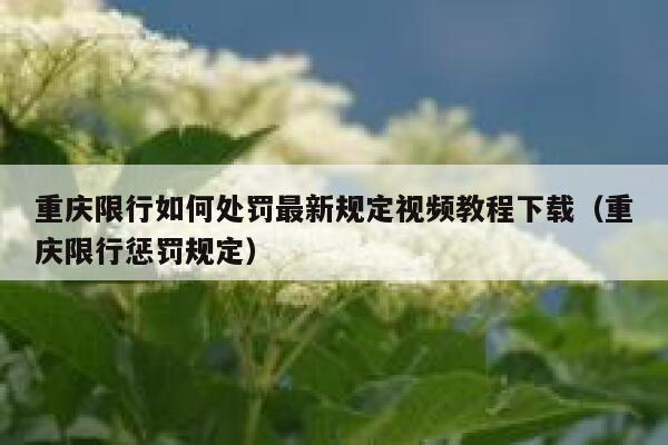 重庆限行如何处罚最新规定视频教程下载(重庆限行惩罚规定) 第1张 重庆限行如何处罚最新规定视频教程下载(重庆限行惩罚规定) 第1张