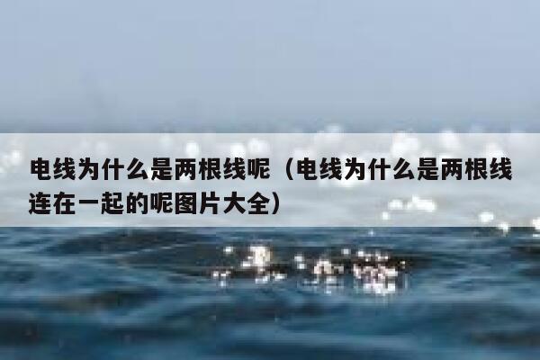 电线为什么是两根线呢(电线为什么是两根线连在一起的呢图片大全) 第1张 电线为什么是两根线呢(电线为什么是两根线连在一起的呢图片大全) 第1张