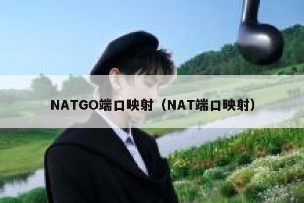 NATGO端口映射（NAT端口映射） 第1张