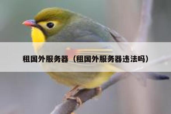 租国外服务器（租国外服务器违法吗） 第1张