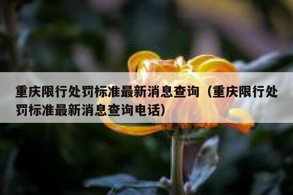 重庆限行处罚标准最新消息查询（重庆限行处罚标准最新消息查询电话） 第1张