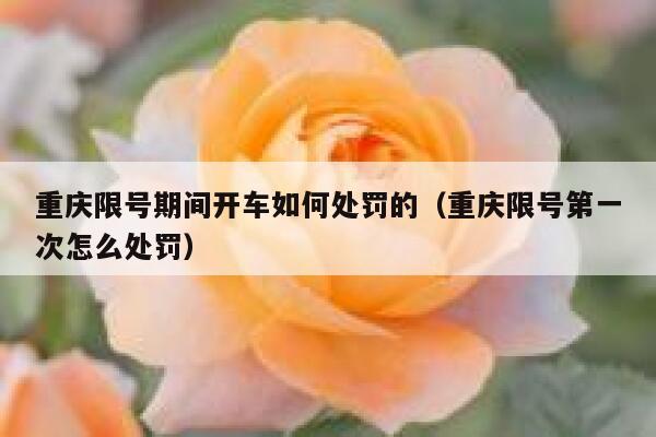 重庆限号期间开车如何处罚的(重庆限号第一次怎么处罚) 第1张 重庆限号期间开车如何处罚的(重庆限号第一次怎么处罚) 第1张
