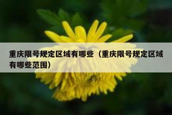 重庆限号规定区域有哪些（重庆限号规定区域有哪些范围） 第1张