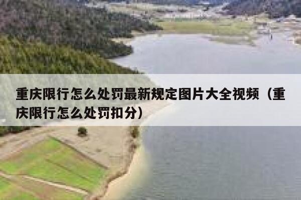 重庆限行怎么处罚最新规定图片大全视频(重庆限行怎么处罚扣分) 第1张 重庆限行怎么处罚最新规定图片大全视频(重庆限行怎么处罚扣分) 第1张
