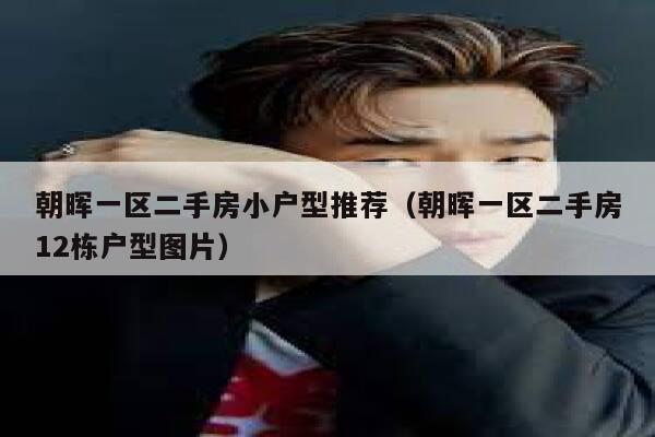 朝晖一区二手房小户型推荐(朝晖一区二手房12栋户型图片) 第1张 朝晖一区二手房小户型推荐(朝晖一区二手房12栋户型图片) 第1张