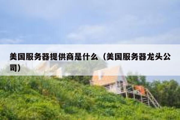 美国服务器提供商是什么(美国服务器龙头公司) 第1张 美国服务器提供商是什么(美国服务器龙头公司) 第1张