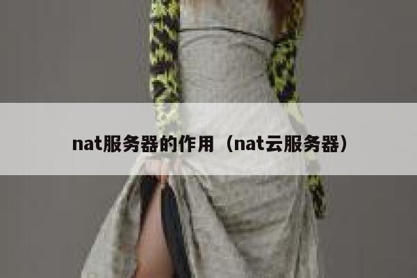 nat服务器的作用（nat云服务器） 第1张