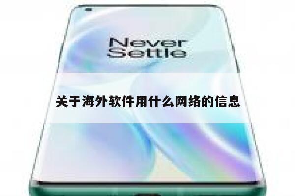 关于海外软件用什么网络的信息 第1张