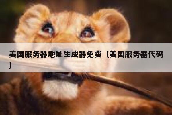美国服务器地址生成器免费(美国服务器代码) 第1张 美国服务器地址生成器免费(美国服务器代码) 第1张