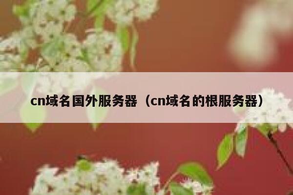 cn域名国外服务器（cn域名的根服务器） 第1张