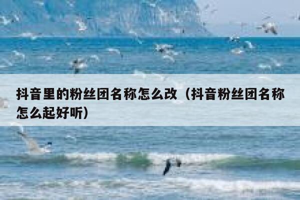 抖音里的粉丝团名称怎么改（抖音粉丝团名称怎么起好听） 第1张