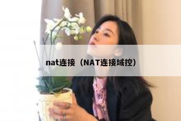 nat连接（NAT连接域控） 第1张